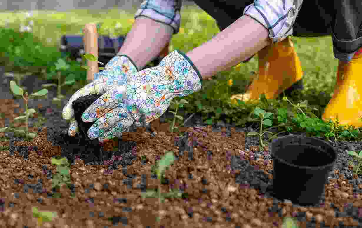 Soil Types & Appropriate Cultivation Techniques Blog 12