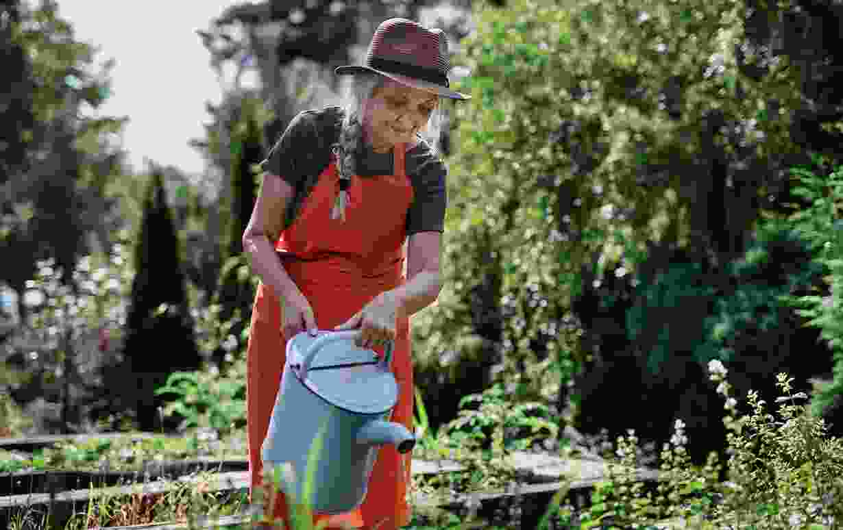 The Health Benefits Of Senior Gardening Blog 8